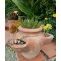 Terracotta Jar with pockets