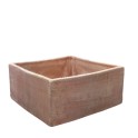 Squared Terracotta pot for bonsai